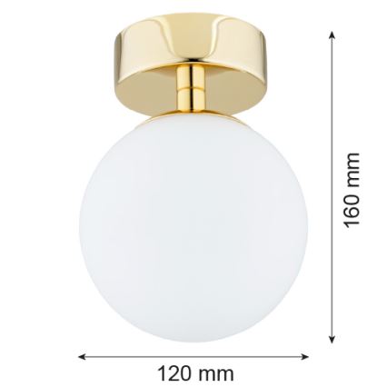 Argon 4004 - Bathroom ceiling light FLAVIO 1xE14/7W/230V IP44