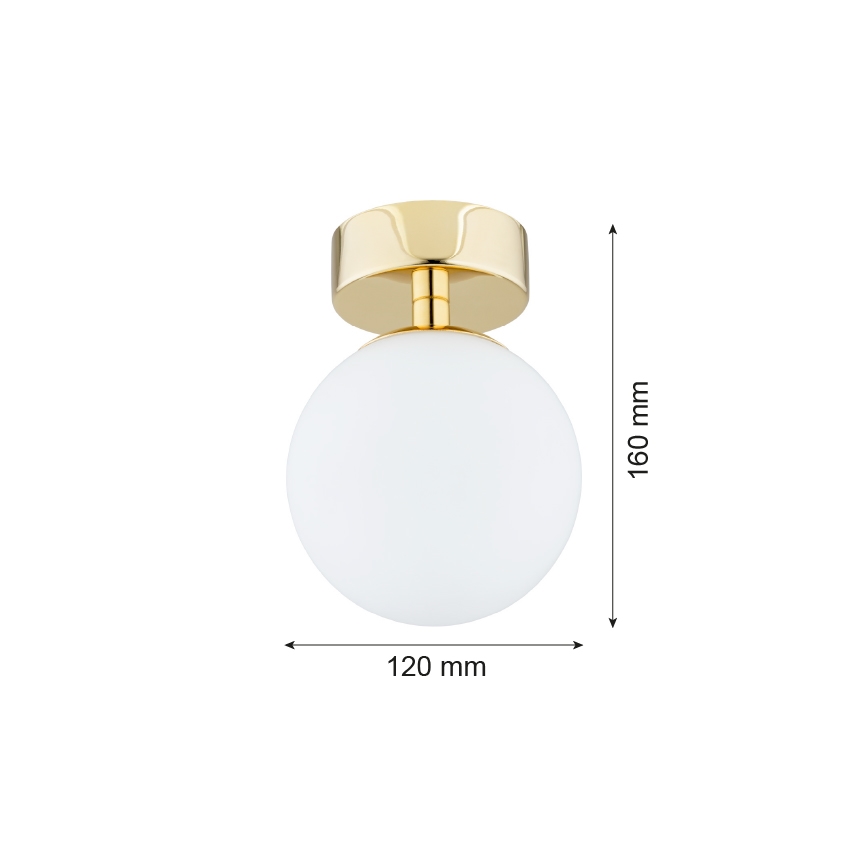 Argon 4004 - Bathroom ceiling light FLAVIO 1xE14/7W/230V IP44