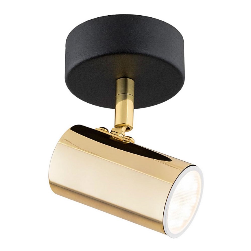 Argon 4208 - Ceiling spotlight LAGOS 1xGU10/5W/230V brass/black