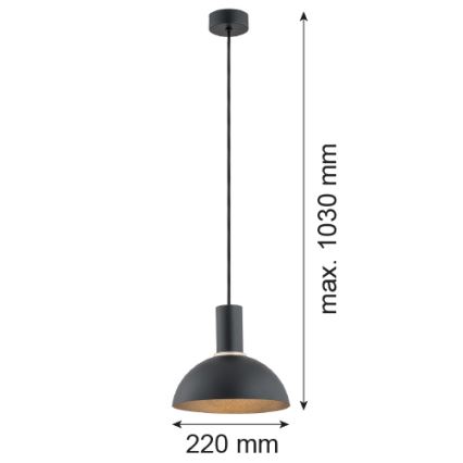 Argon 4222 - Chandelier on a string SINES 1xE27/15W/230V d. 28 cm black