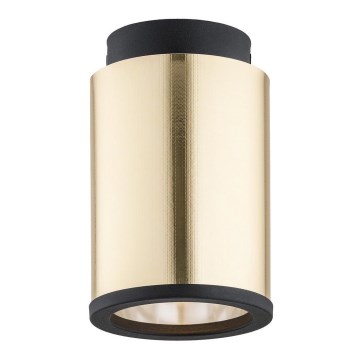 Argon 4280 - Spotlight HERMAN 1xE27/15W/230V brass/black