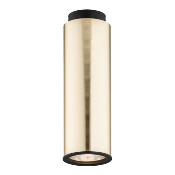 Argon 4281 - Spotlight LINEA 1xE27/15W/230V brass/black