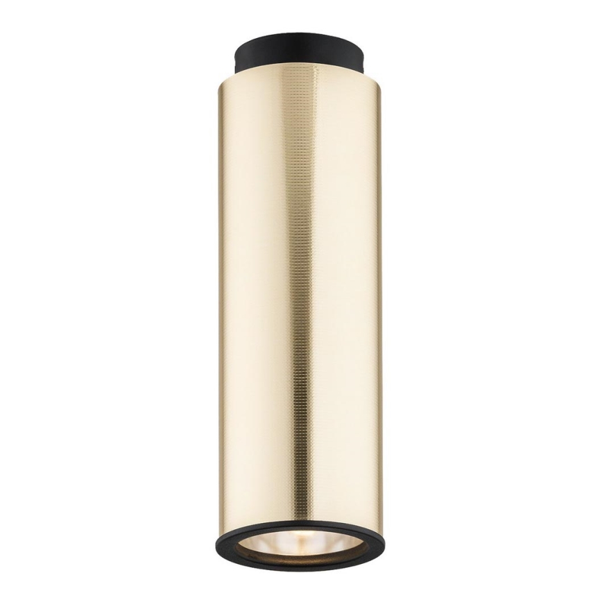 Argon 4281 - Spotlight LINEA 1xE27/15W/230V brass/black