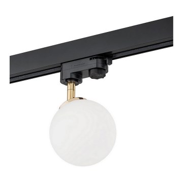 Argon 4307 - Spotlight for rail system BANG 1xG9/6W/230V brass