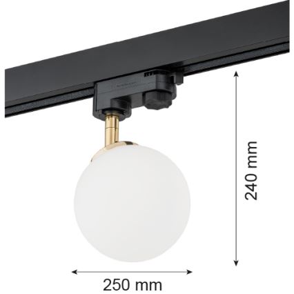 Argon 4307 - Spotlight for rail system BANG 1xG9/6W/230V brass