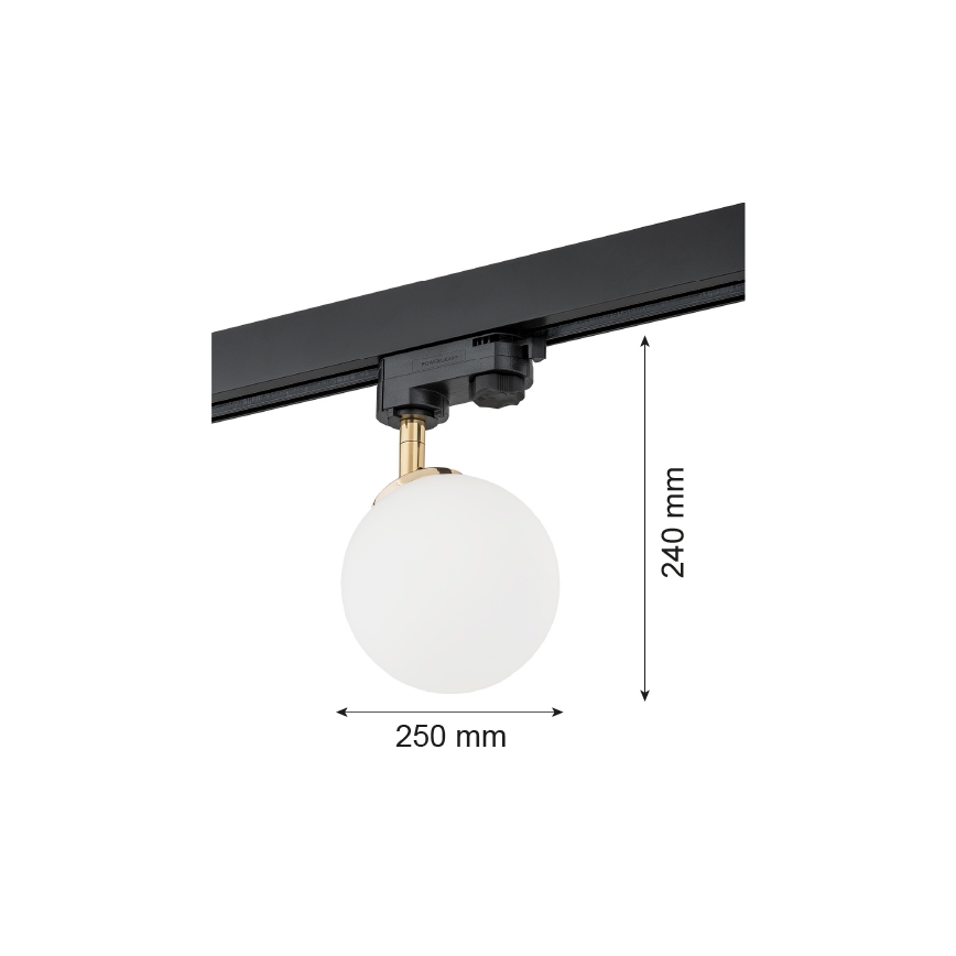 Argon 4307 - Spotlight for rail system BANG 1xG9/6W/230V brass