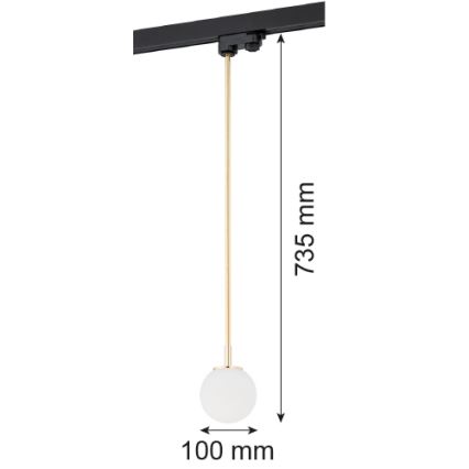 Argon 4308 - Chandelier on a pole to the rail system BANG 1xG9/6W/230V brass
