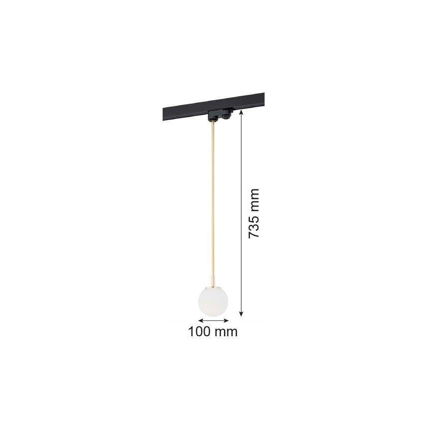 Argon 4308 - Chandelier on a pole to the rail system BANG 1xG9/6W/230V brass