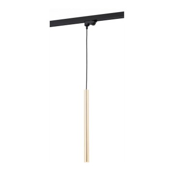 Argon 4319 - LED Chandelier on a string for rail system ELBRUS LED/4,5W/230V brass