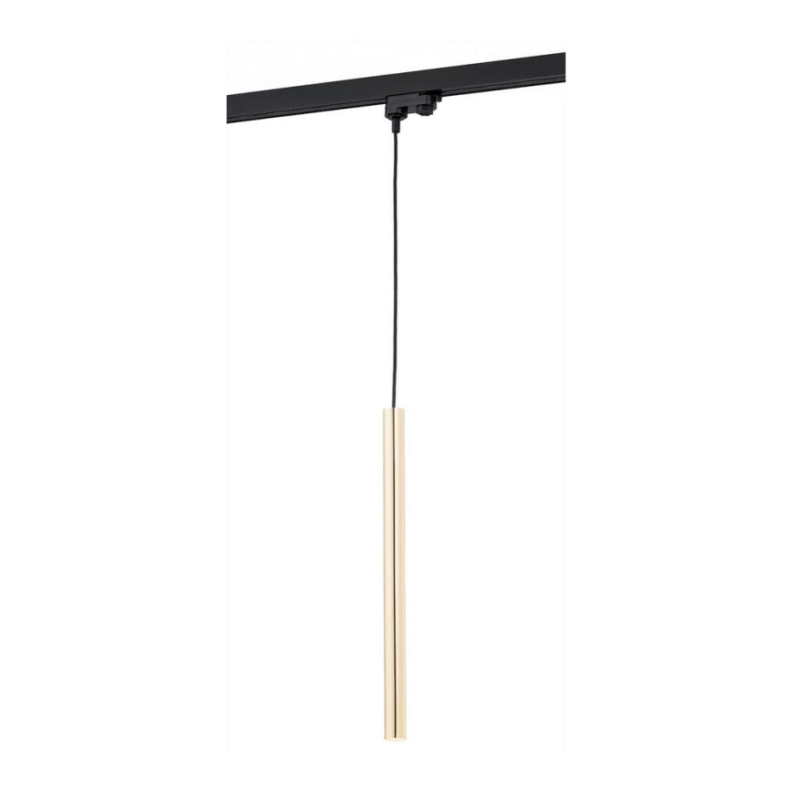 Argon 4319 - LED Chandelier on a string for rail system ELBRUS LED/4,5W/230V brass
