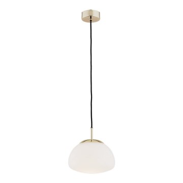 Argon 4352 - Chandelier on a string TRINI 1xE27/15W/230V d. 20 cm gold