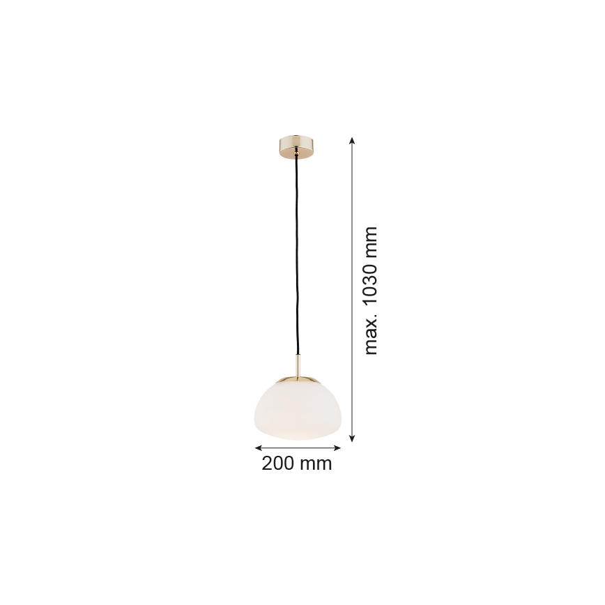 Argon 4352 - Chandelier on a string TRINI 1xE27/15W/230V d. 20 cm gold