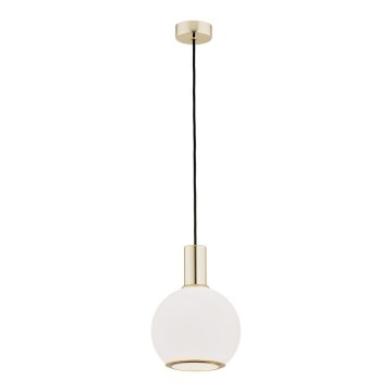 Argon 4357 - Chandelier on a string SAGUNTO 1xE27/15W/230V d. 20 cm brass