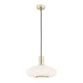 Argon 4358 - Chandelier on a string SAGUNTO 1xE27/15W/230V diameter 30 cm brass