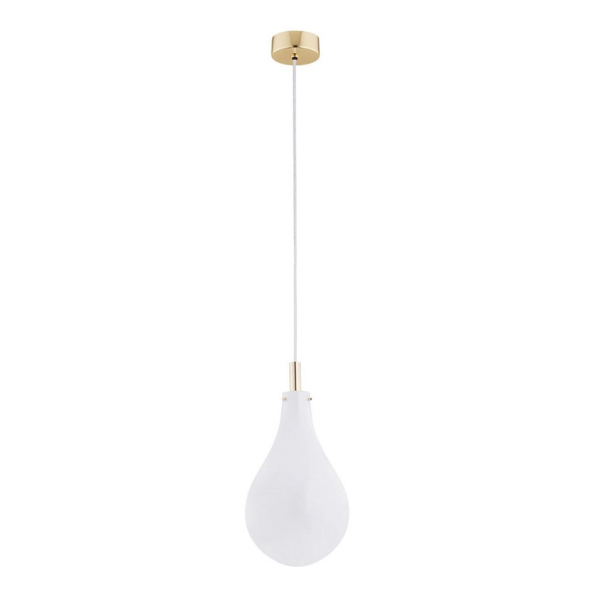 Argon 4696 - Chandelier on a string OAKLAND 1xG9/6W/230V