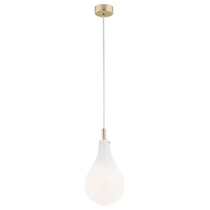 Argon 4696 - Chandelier on a string OAKLAND 1xG9/6W/230V