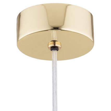 Argon 4696 - Chandelier on a string OAKLAND 1xG9/6W/230V