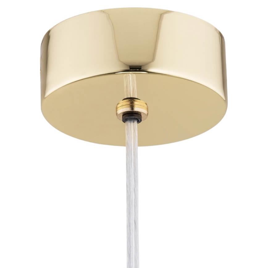 Argon 4696 - Chandelier on a string OAKLAND 1xG9/6W/230V