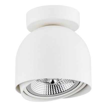 Argon 4710 - Spotlight GARLAND 1xGU10-AR111/12W/230V white