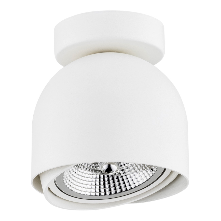 Argon 4710 - Spotlight GARLAND 1xGU10-AR111/12W/230V white