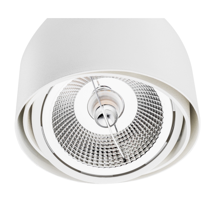 Argon 4710 - Spotlight GARLAND 1xGU10-AR111/12W/230V white