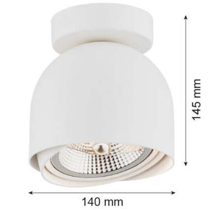 Argon 4710 - Spotlight GARLAND 1xGU10-AR111/12W/230V white