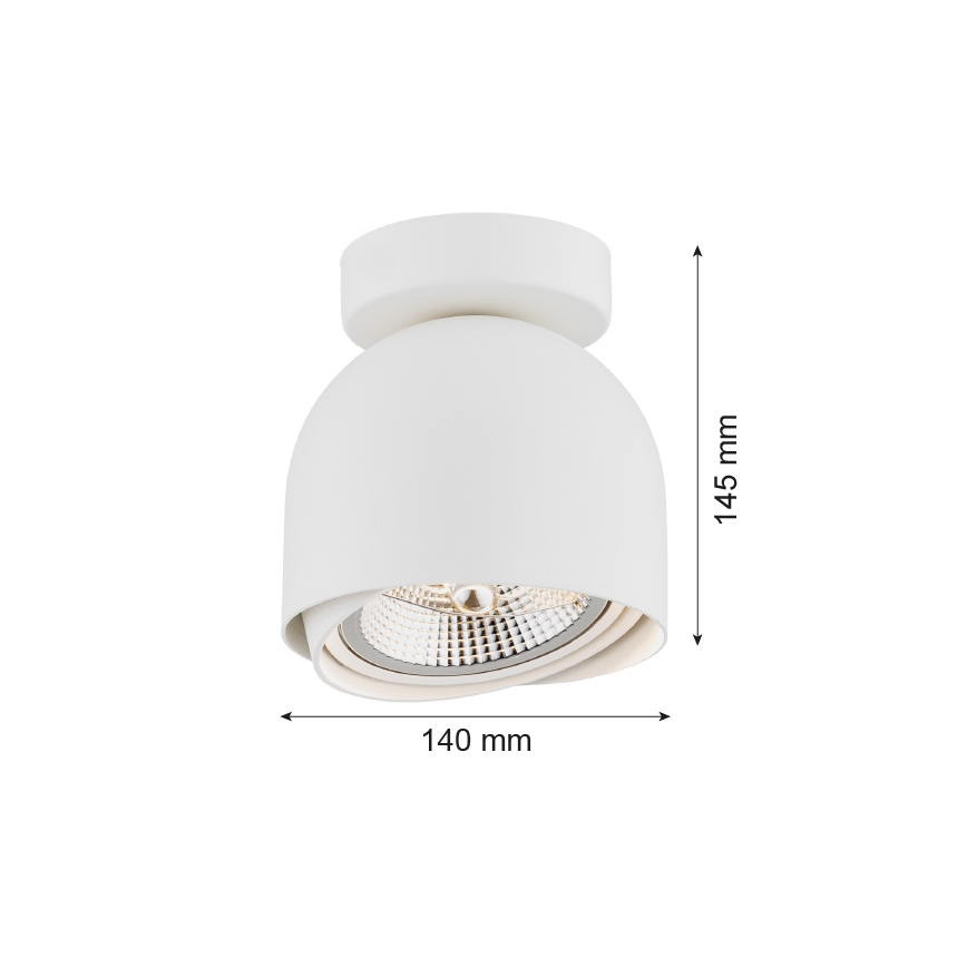 Argon 4710 - Spotlight GARLAND 1xGU10-AR111/12W/230V white