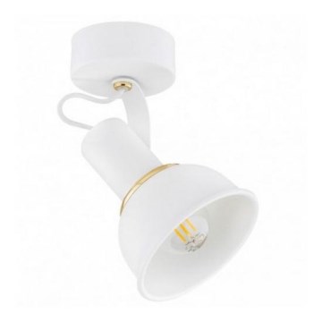 Argon 4899 - Spotlight TWIST 1xE14/7W/230V white/golden