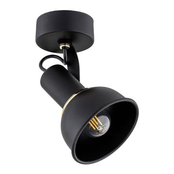 Argon 4900 - Spotlight TWIST 1xE14/7W/230V black/golden