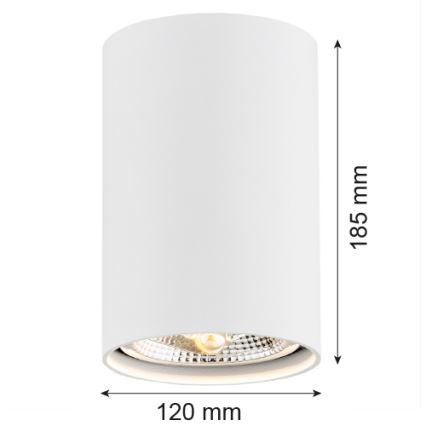 Argon 4910 - Spotlight TUBO AR111 1xGU10/15W/230V white