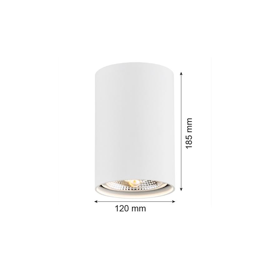 Argon 4910 - Spotlight TUBO AR111 1xGU10/15W/230V white