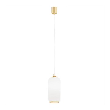 Argon 4993 - Chandelier on a string PALLADO 1xE27/15W/230V golden/white