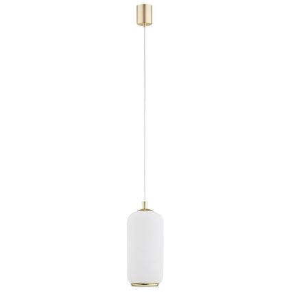 Argon 4993 - Chandelier on a string PALLADO 1xE27/15W/230V golden/white