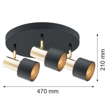 Argon 6006 - Spotlight DORIA 3xE27/15W/230V black/brass