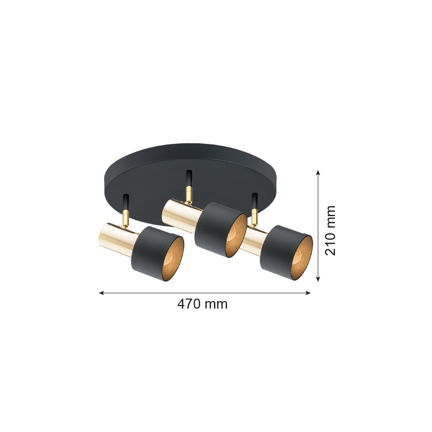 Argon 6006 - Spotlight DORIA 3xE27/15W/230V black/brass