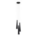 Argon 6103 - Chandelier on a string HOLLYWOOD 3xE14/7W/230V black