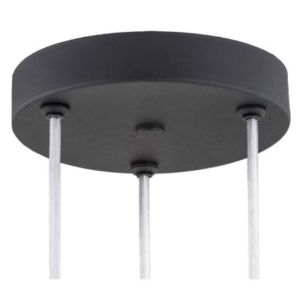 Argon 6103 - Chandelier on a string HOLLYWOOD 3xE14/7W/230V black
