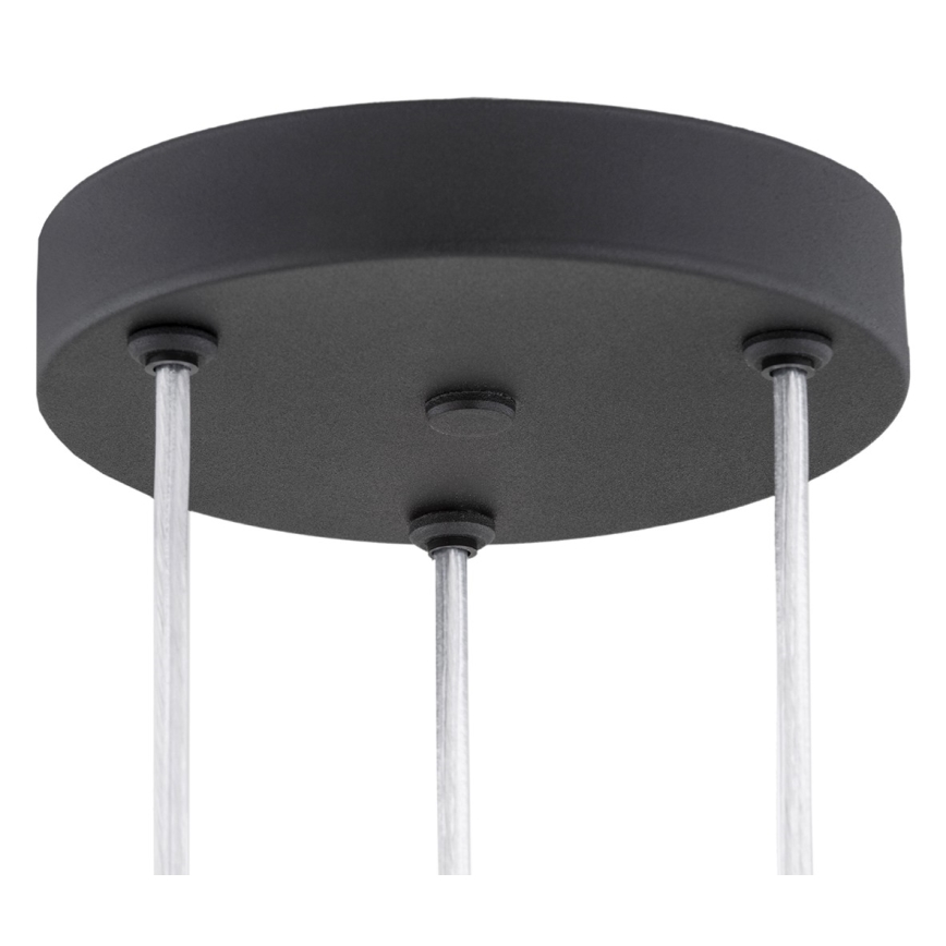 Argon 6103 - Chandelier on a string HOLLYWOOD 3xE14/7W/230V black
