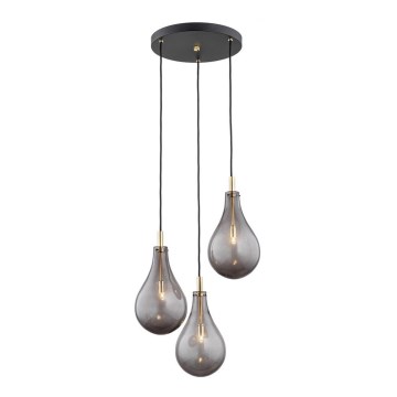Argon 6105 - Chandelier on a string OAKLAND 3xG9/6W/230V black