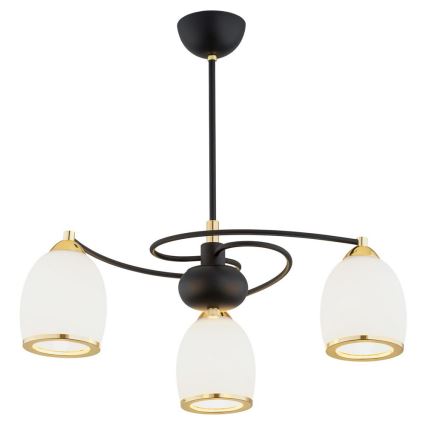 Argon 6144 - Chandelier on a pole AVILA PLUS 3xE27/15W/230V black/gold/white