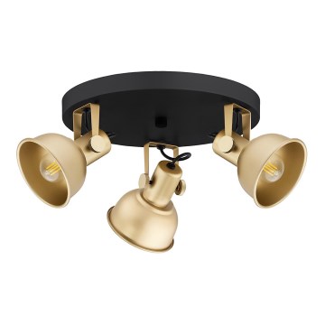 Argon 6243 - Spotlight LENORA 3xE14/7W/230V gold/black