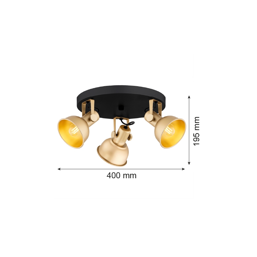 Argon 6243 - Spotlight LENORA 3xE14/7W/230V gold/black