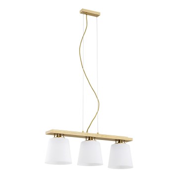 Argon 6250 - Chandelier on a string ARDEN 3xE27/15W/230V gold