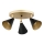 Argon 6262 - Spotlight LUCINDA 3xE14/7W/230V black/gold