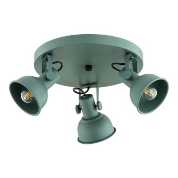 Argon 6265 - Spotlight LENORA 3xE14/7W/230V green