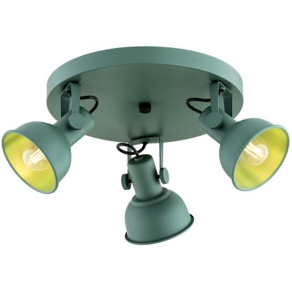 Argon 6265 - Spotlight LENORA 3xE14/7W/230V green