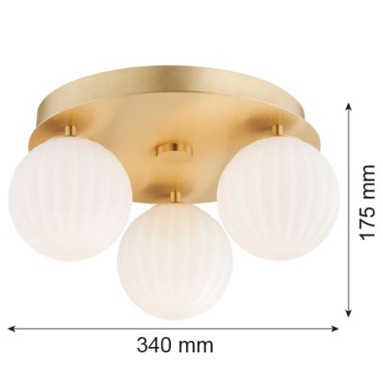 Argon 6305 - Ceiling light PALOMA 3xE14/7W/230V gold/white
