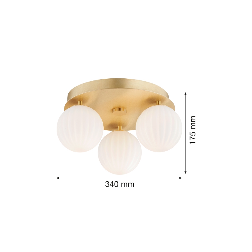 Argon 6305 - Ceiling light PALOMA 3xE14/7W/230V gold/white