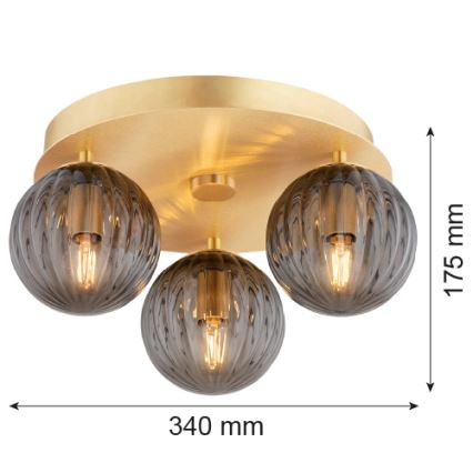 Argon 6308 - Ceiling light PALOMA 3xE14/7W/230V gold/black