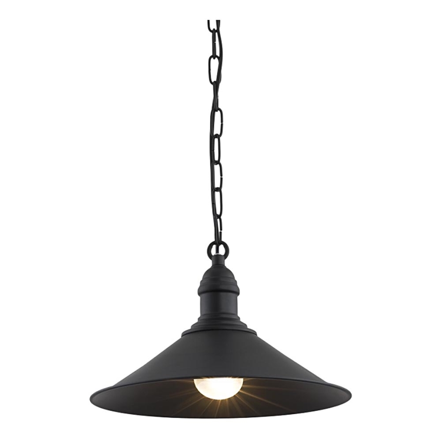 Argon 631 - Chandelier on a chain ERBA 1xE27/60W/230V